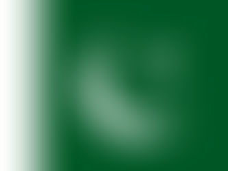 PAKISTAN - Leap into Space