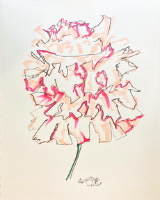 Peony Sketch