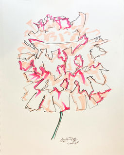Peony Sketch