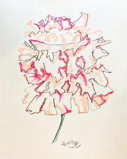 Peony Sketch