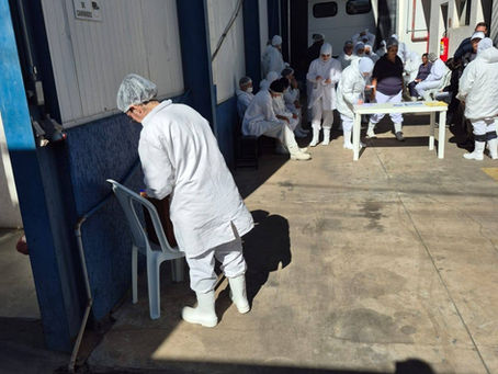 Iglu Comercial e Importação LTDA