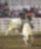 480675269_4072739309676226_6290780411766189300_n.jpg