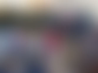 Matinée "Tout ce qui vole" !