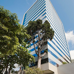 radisson-blu-belo-horizonte.jpg