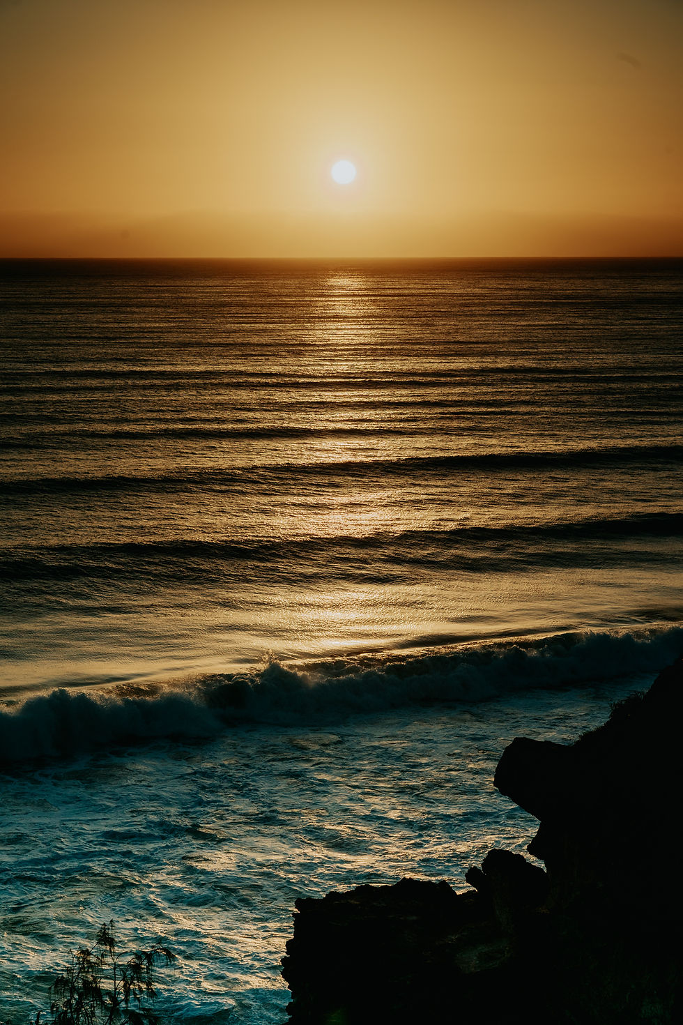 Sydney in December - Een Diploma, Bondi en een Grote Banaan