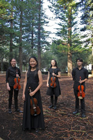 Four Strings Vertical.JPG