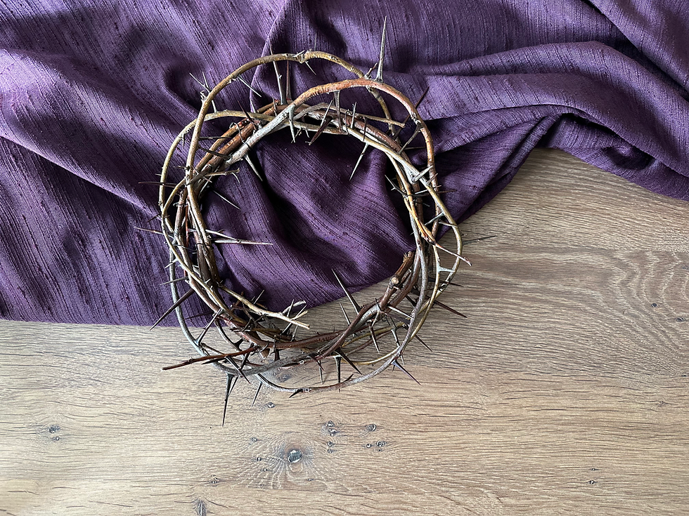 A crown of thorns on puple fabric