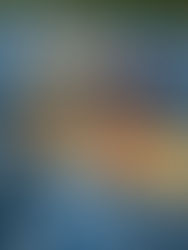 Sabbath & Play: Rest as Resistance