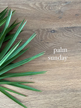 Palm Sunday: Beginning the Journey to the Cross