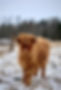 IMG_1195.jpeg