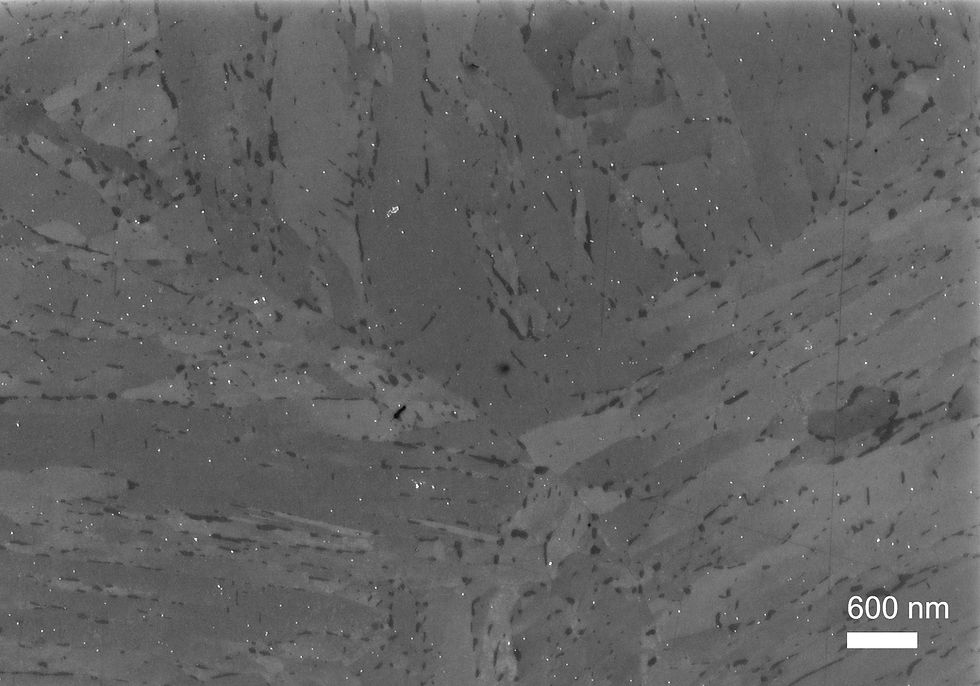 Carbides in martensitic steel (SE)