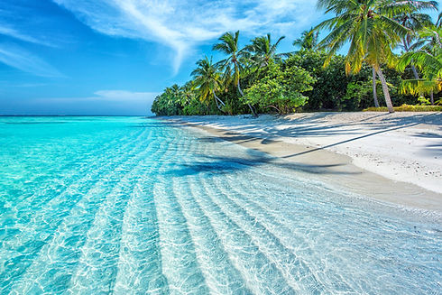 Maldives Islands Ocean Tropical Beach_edited.jpg
