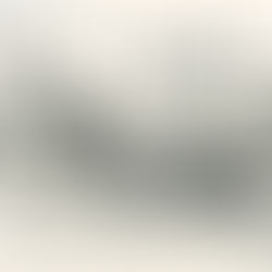 Cartoon Of the Month