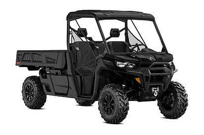 Can-Am Defender PRO XT HD10