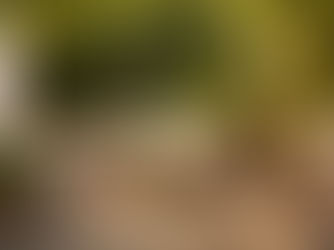 Come arredare il tuo giardino con stile: idee per un angolo relax estivo