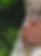 Screenshot 2025-06-20 at 8.27.56 PM.png