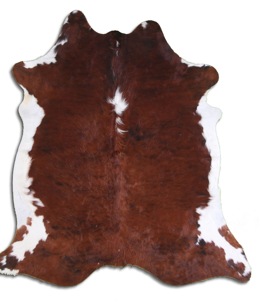 Express NATURAL cowhide rugs for sale EXOTIC WHITE BELLY BACKBONE rug
