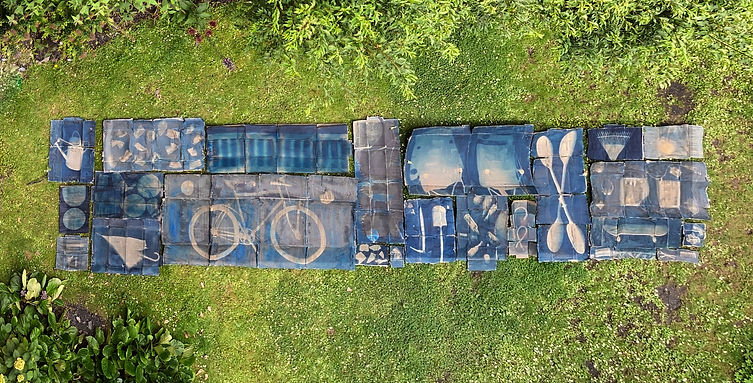 backyard areal.jpg