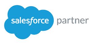 Salesforce consulting partner working with a client team