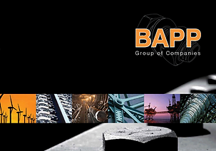 Bapp A4 Corp Bro lores-1.png