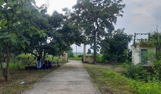 20230925_155104.jpg