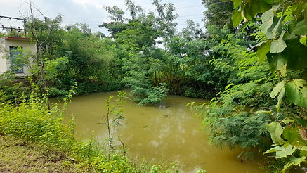 20230925_155100.jpg