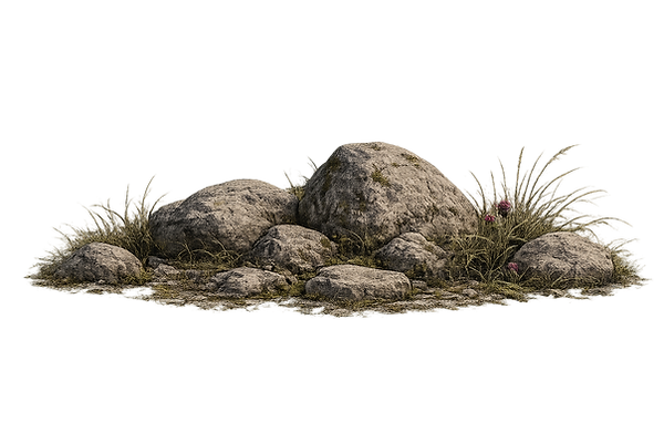 45083768-6EBE-4CDD-8D79-CD334375BD67.PNG