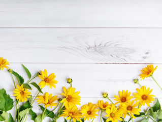 ブログはじめました!