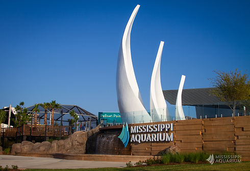 2020-mississippi-aquarium-attraction-museum-gulfport-mississippi-1.jpg