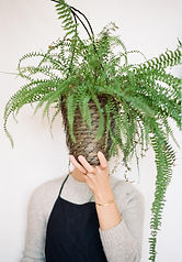 Barbara-Wolfs-Den. (Copy).jpg