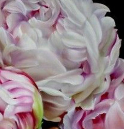 Screenshot_20201128-161235_Pinterest (2).jpg