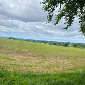 5 Top Tips to get you out walking