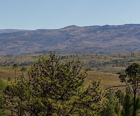 Lote 6470 M2