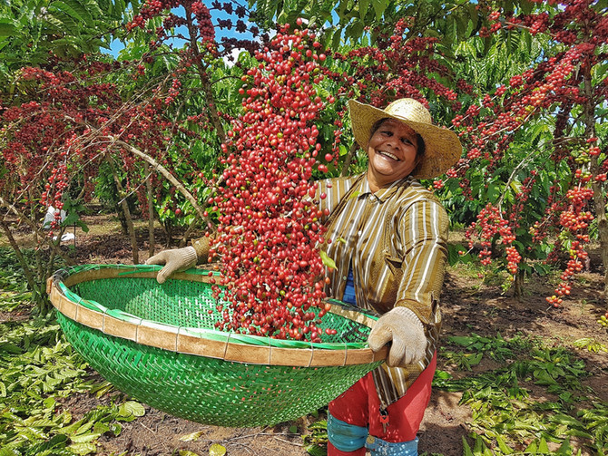 Uma mulher do café