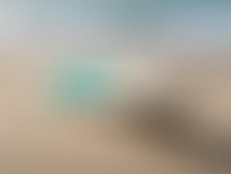 Unlock Your Surfing Potential with Coastal Conditioning