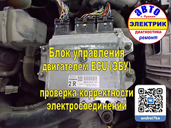 Nissan ECM (Engine Control Module) БУД.w