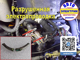 повреждённая изоляция электропроводки.we