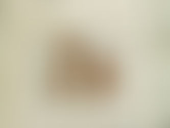 Nærbilde av et dokument med et norsk flagg og med rød skrift skrevet er stort "ja". Rundt på arket er det håndskrift. Midt på arket står med trykte bokstaver: "I Nittenhundred`og dem, det var Den trettende August, For hver en Normand stod det klar: Her gjelder det en Dyst. Til Mindre om, at jeg var med For Fædrelandets Sag, Saa skriver nu mit Navn jeg ned Her under Norges Flag.