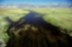 Mossy River
