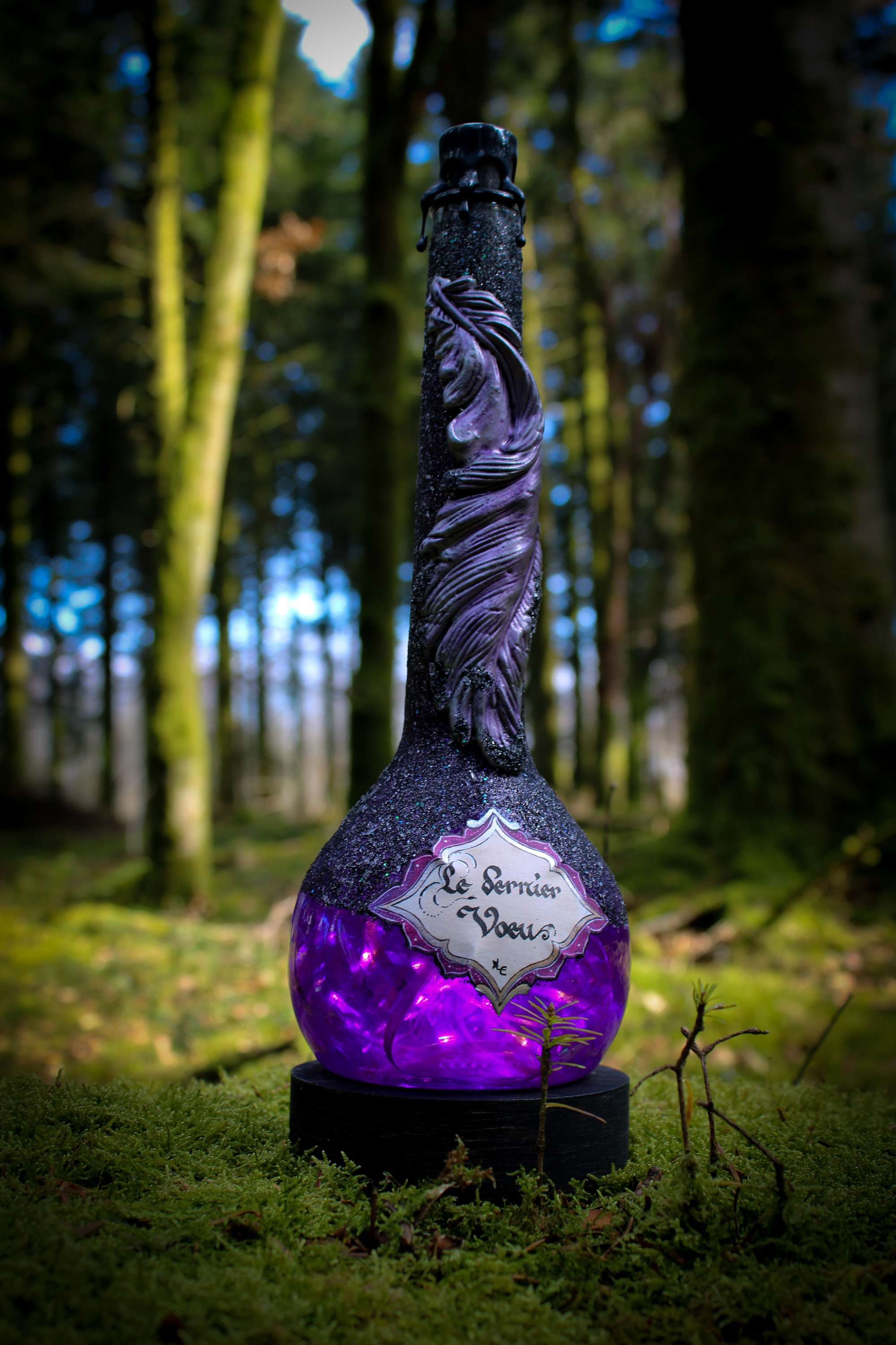 Potion Veilleuse Enluminée "Le Dernier Voeu" avec Certificat d'Authenticité