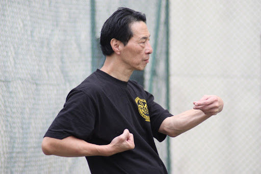 siu lim tao.jpg