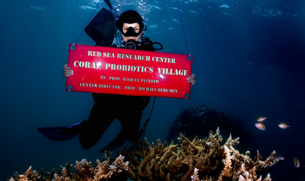 Woman SCUBA diver holding up a sign that reads "Red Sea Research Center Coral Probiotics Village" under water with a coral reef in the foreground.