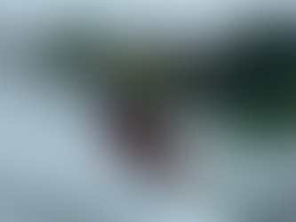 Field Notes from Australia