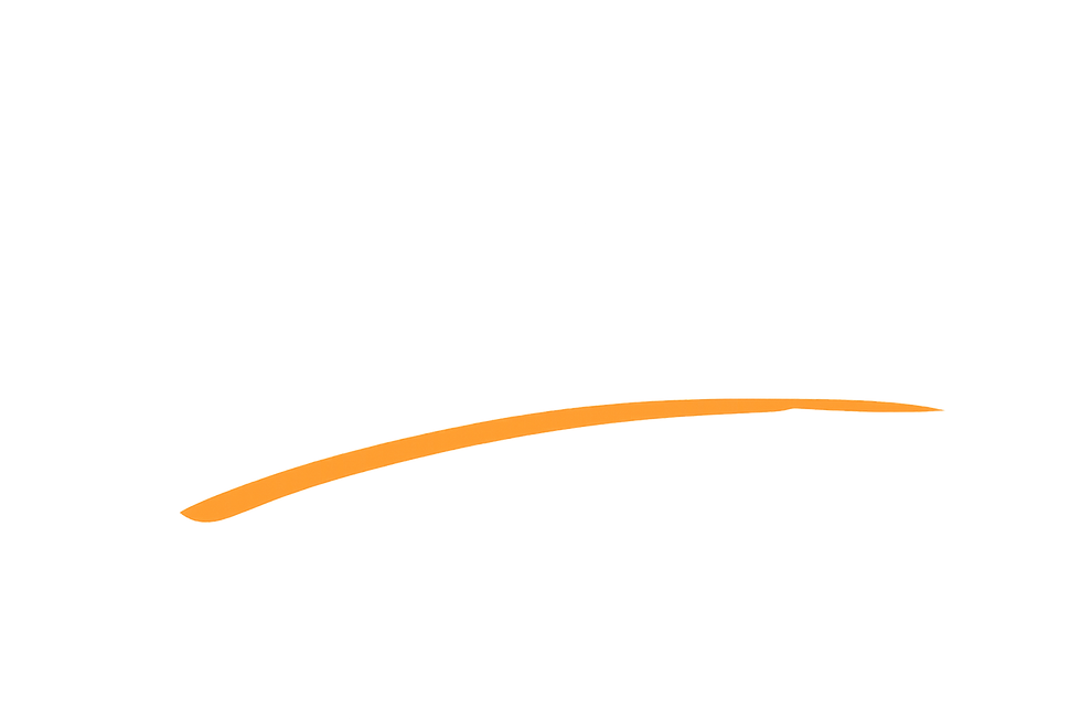 Linea arancione.png
