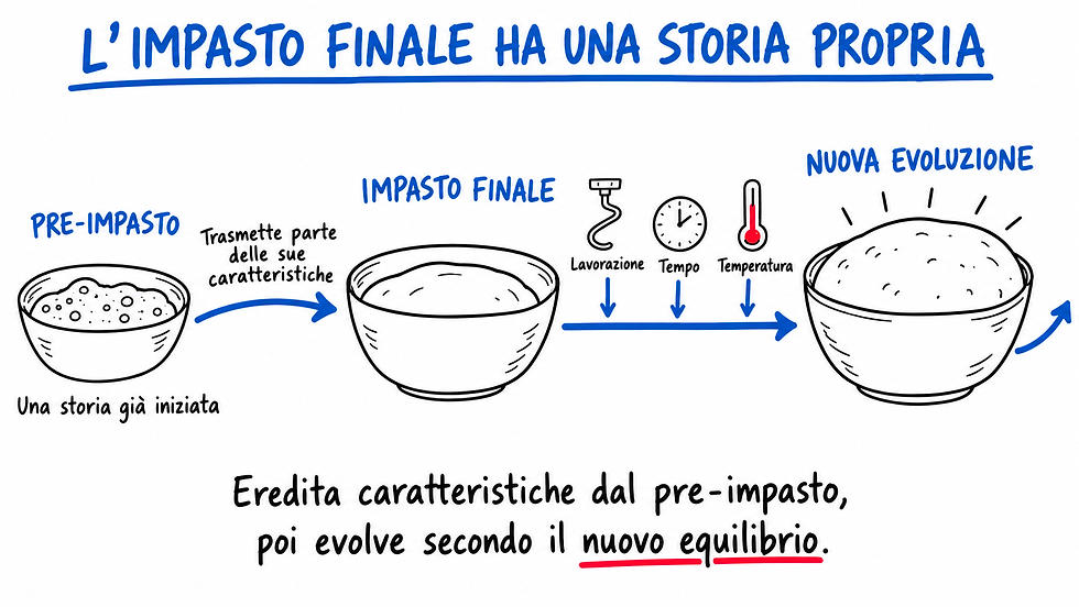 L’impasto finale eredita caratteristiche dal preimpasto e continua a evolvere con lavorazione, tempo e temperatura.