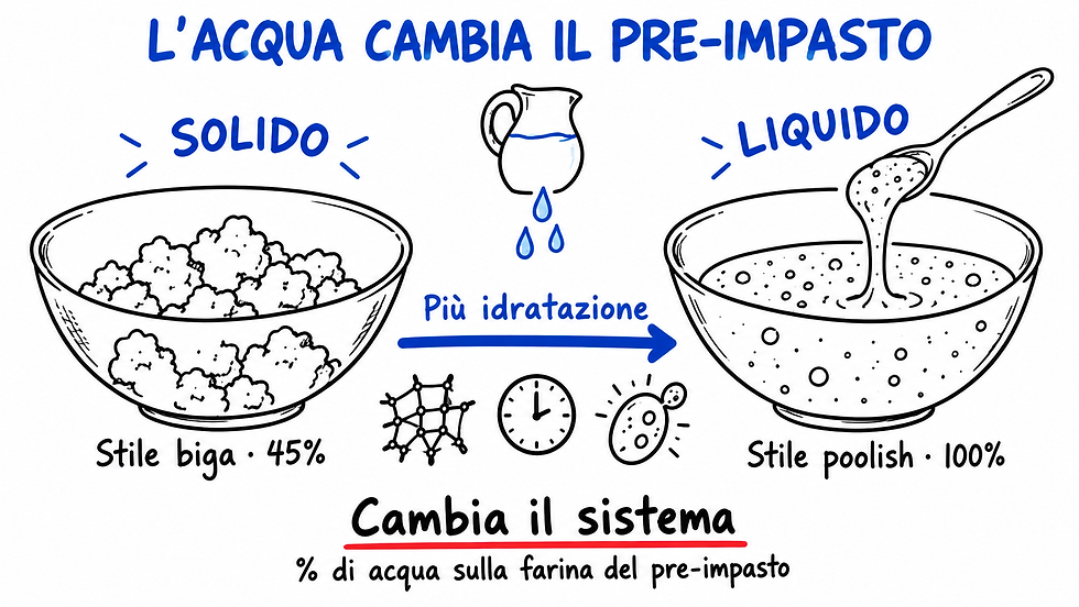 Aumentando l’idratazione si passa da una preparazione asciutta in stile biga a una liquida in stile poolish.