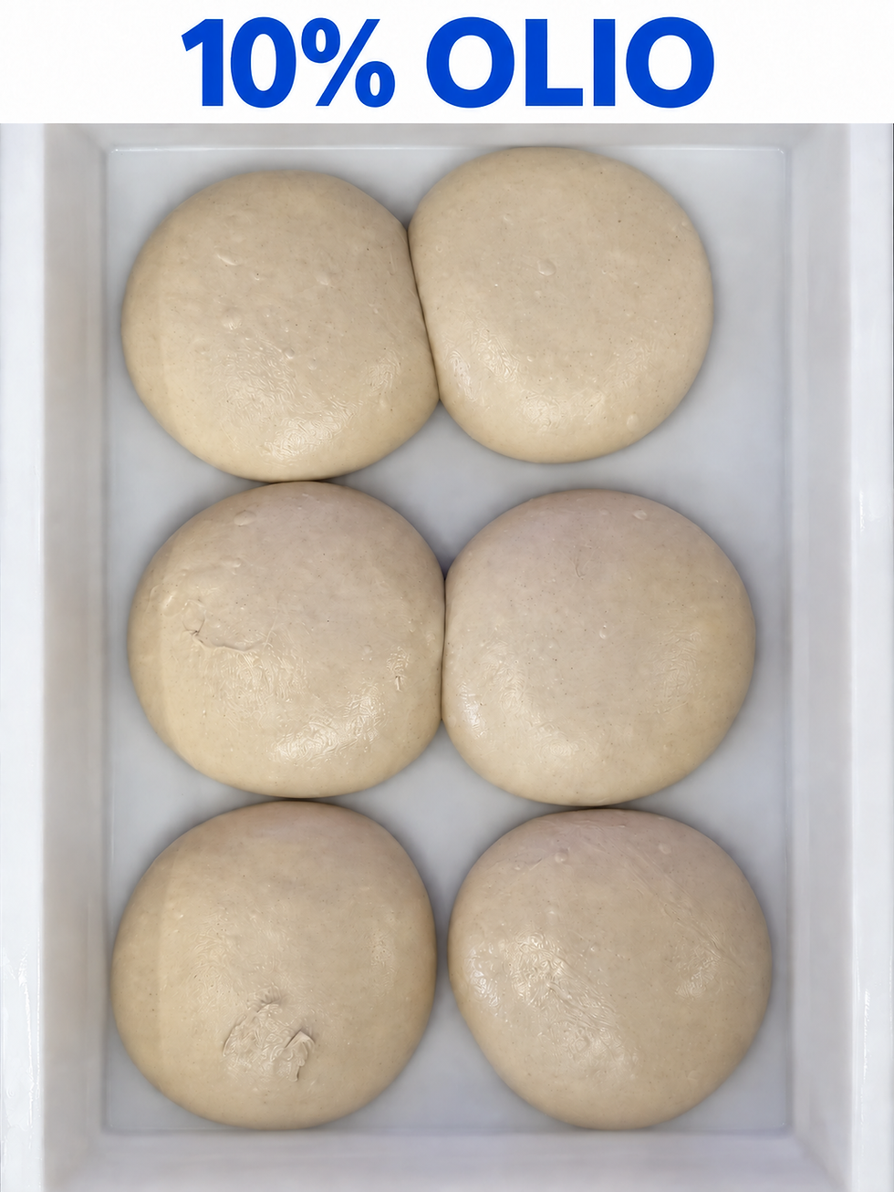 Panetti con il 10% di olio, meno gonfi al momento del confronto.