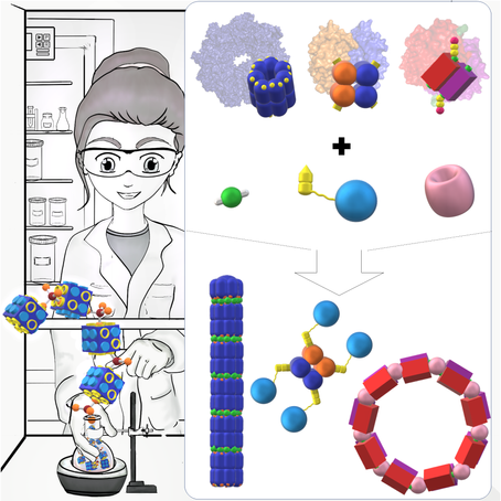 NEW ARTICLE PUBLISHED! Functional protein nanostructures: a chemical toolbox.