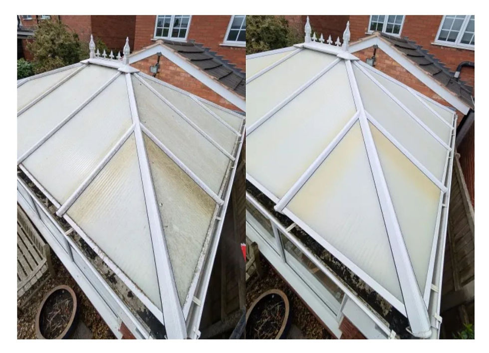 Conservatory Clean Before and After 3 - Wusch