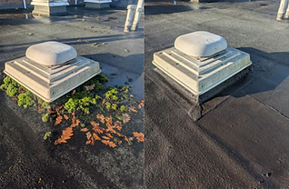 Commercial Clean Before and After 3 - Wusch